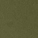 RAL1035